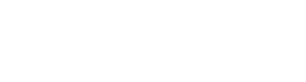 Torus Academy