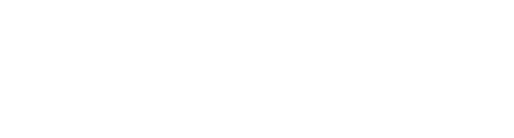 Torus Assembly